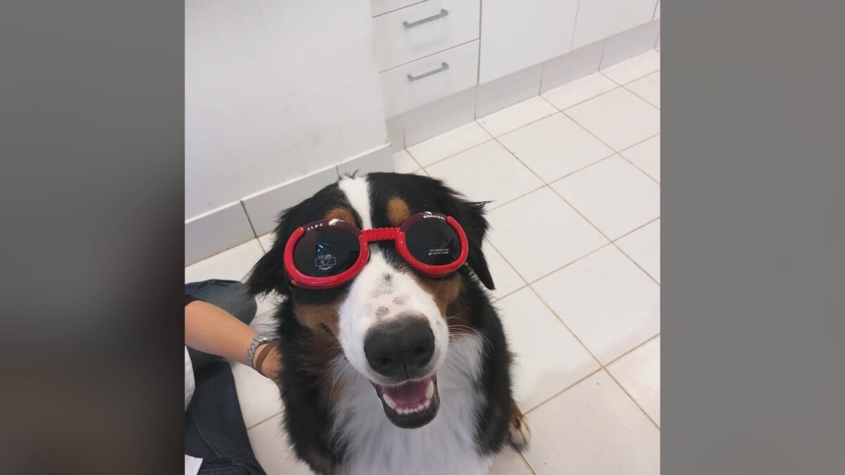 Foto de Angélica