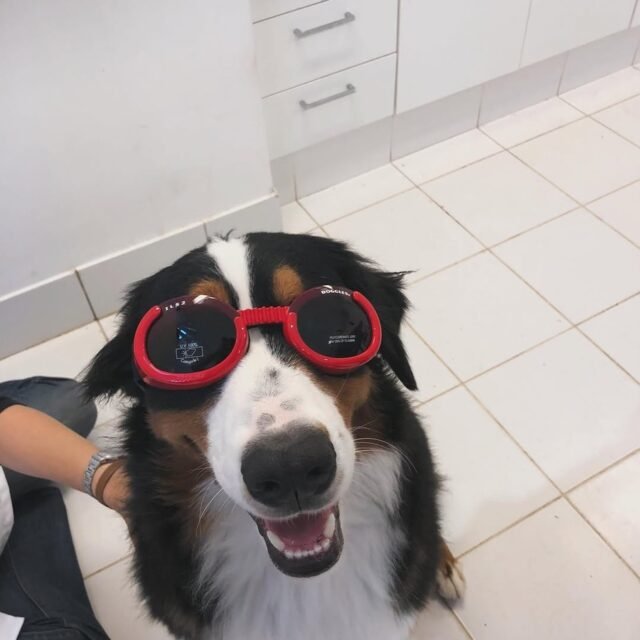 Foto de Angélica