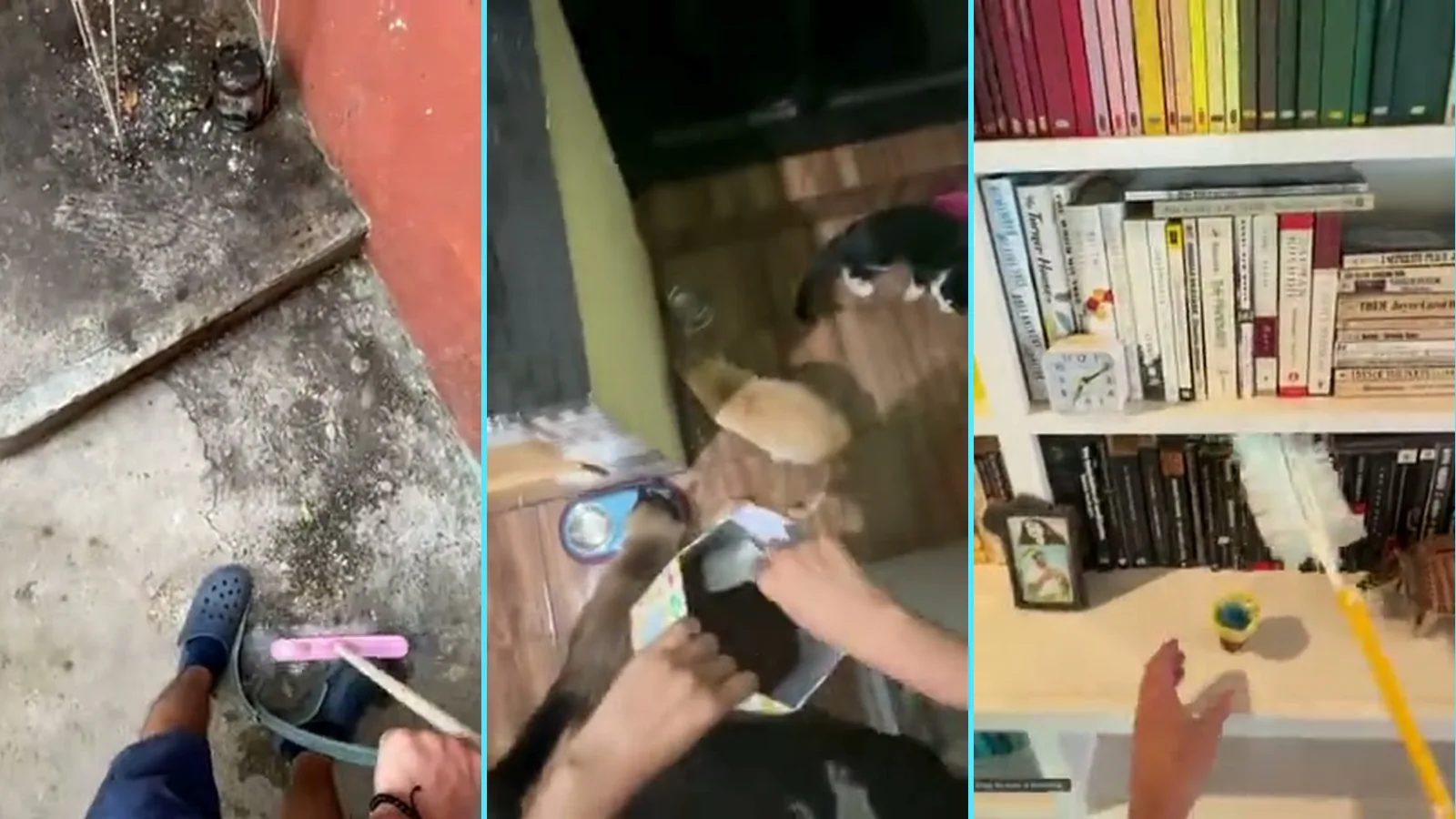Três cenas gravadas em primeira pessoa: varrer o quintal, servir ração para os gatos e arrumar uma estante de livros